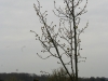 h12-img_4392