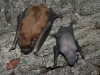 g1-img_2994
