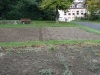 g-IMG_4281