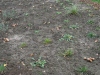 g-IMG_4298