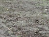 g3-IMG_20201031_164437