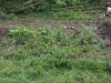 g-IMG_1924