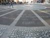 g IMG_1433