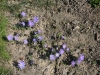 g-IMG_3393