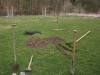 g IMG_6054