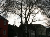 g-img_2267_0
