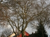g-img_2271