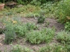 g-IMG_2614-a