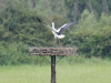 A5495_DxO
