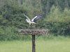 A5606_DxO