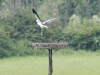 A6944_DxO