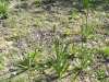 g-IMG_20210509_162026